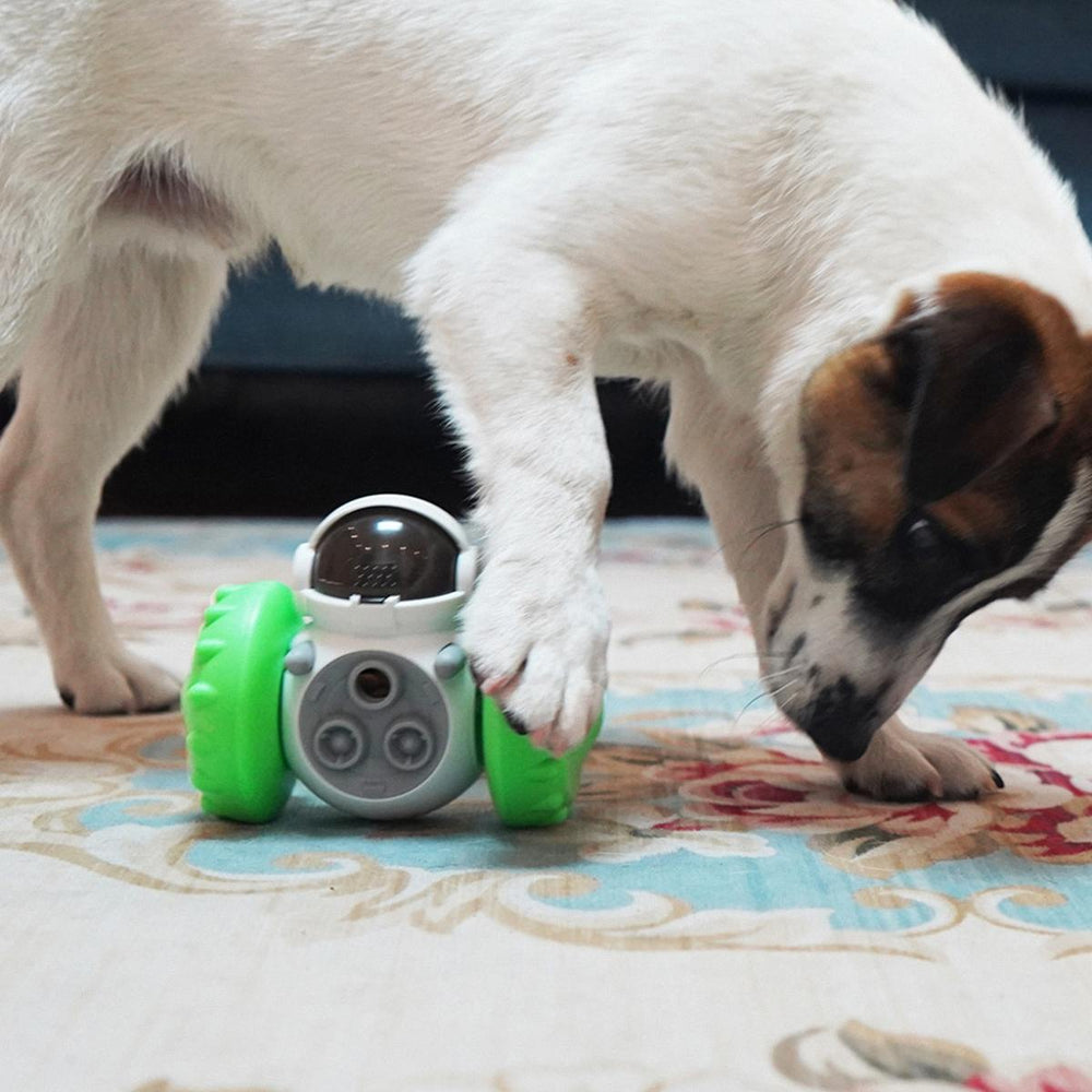 SHTALHST Dog Puzzle Toys, Interactive Dog Toys with Adjustable Treat  Dispensing Dog Toys, Dog Chase Toy Intelligence Talking Giggle Squeaky for